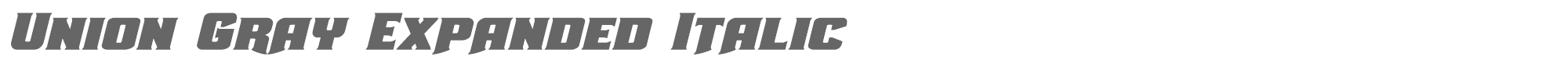 Union Gray uniongrayexpandital.ttf font preview