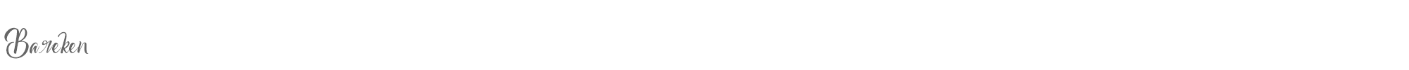 Sample characters Bareken Font