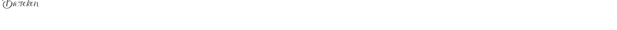 Bareken Bareken.ttf font preview
