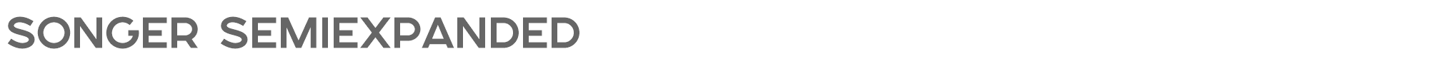 Songer SONGER™_SE_Bold.otf font preview