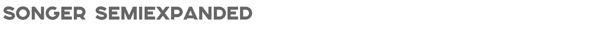 Songer SONGER™_SE_Heavy.otf font preview