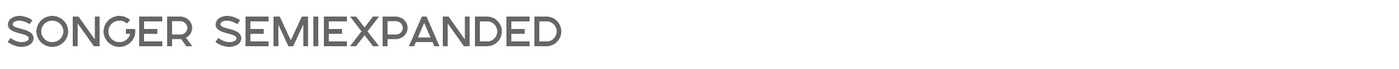 Songer SONGER™_SE_Medium.otf font preview