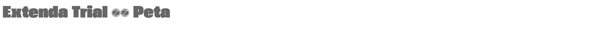 Extenda Extenda-80-Peta-trial.ttf font preview