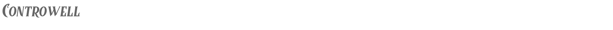 Controwell Controwell-Italic.ttf font preview