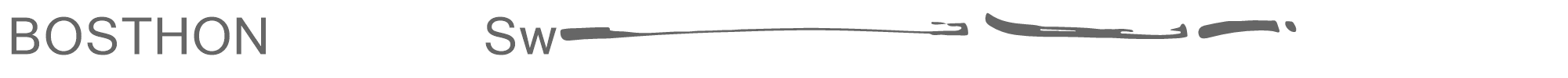 Bosthon Brush BOSTHONSwash.otf font preview