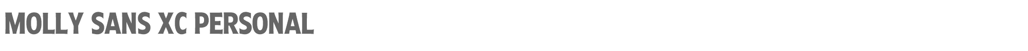 Molly Sans MollySansXC-Bo_PERSONAL.ttf font preview