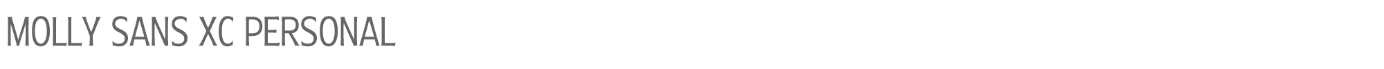 Molly Sans MollySansXC-Li_PERSONAL.ttf font preview