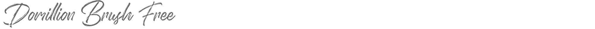 Sample characters Domillion Brush Font