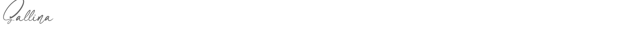 Sallina Sallina.ttf font preview