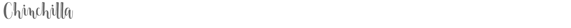 Sample characters Chinchilla Font