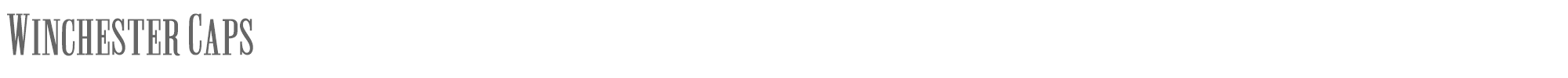 Sample characters Winchester Font