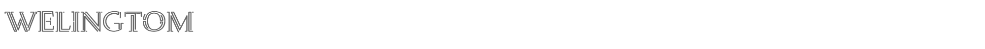 Sample characters Welingtom Font
