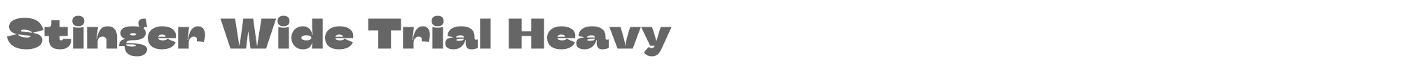 Stinger StingerWideTrial-Heavy.ttf font preview