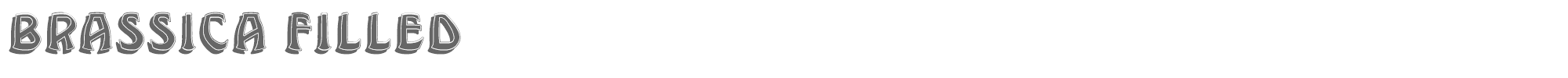 Brassica BrassicaFilled.ttf font preview