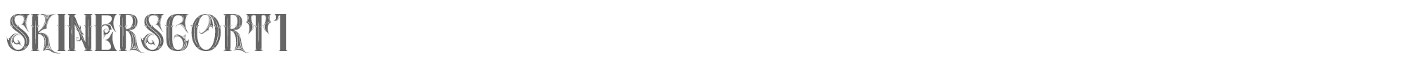 Skiner Scort SkinerScort.ttf font preview