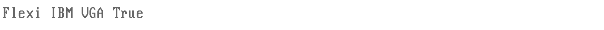 Flexi Ibm Vga True Flexi_IBM_VGA_True.ttf font preview