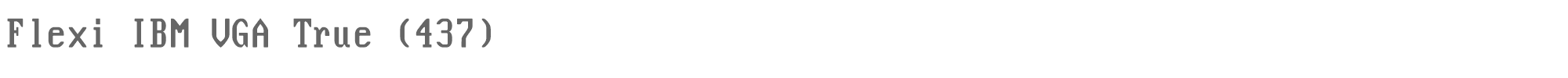 Flexi Ibm Vga True Flexi_IBM_VGA_True_437.ttf font preview