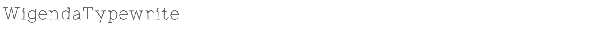 Sample characters Wigenda Typewrite Font