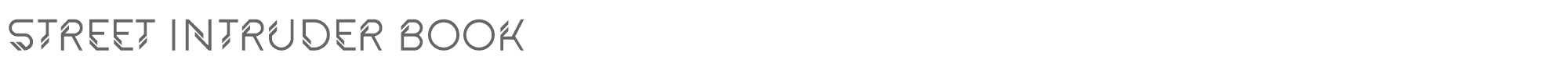 Street Intruder StreetIntruderBook.ttf font preview