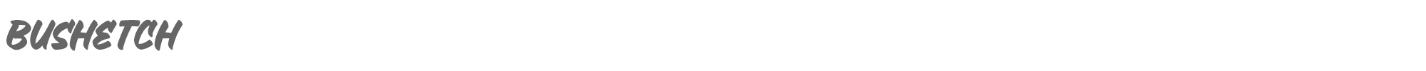 Bushetch Bushetch.otf font preview