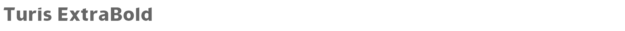 Sample characters Turis Font