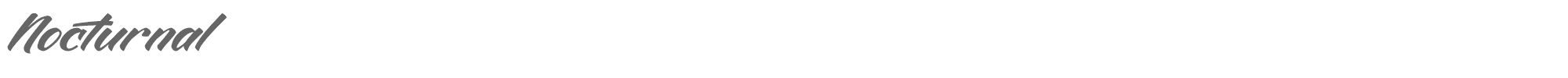 Sample characters Nocturnal Font