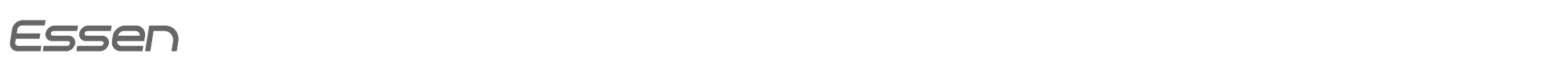 Essen Essen-Italic.ttf font preview