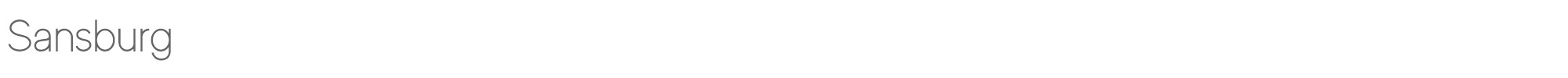 Sample characters Sansburg Font