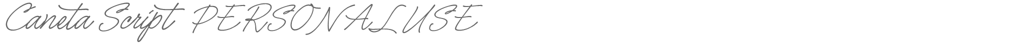 Caneta Script CanetaScript_PERSONAL_USE_ONLY.otf font preview