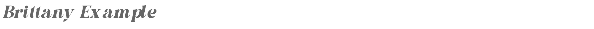 Brittany Example BrittanyExample-Italic.ttf font preview