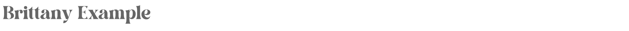 Brittany Example BrittanyExample-Regular.ttf font preview