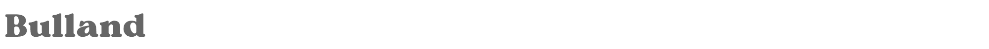 Sample characters Bulland Font