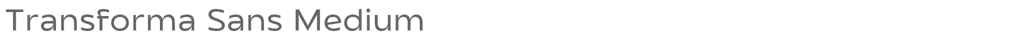 Sample characters Transforma Sans Font