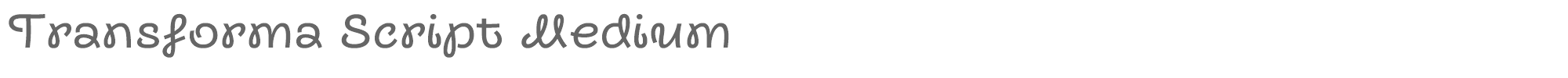 Sample characters Transforma Script Font