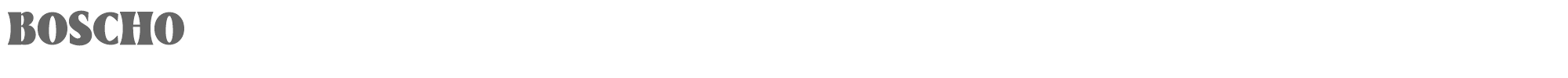 Sample characters Boscho Font