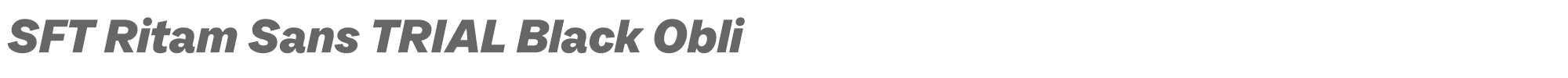 SFT Ritam Sans SFT-Ritam-Sans-TRIAL-Black-Oblique.ttf font preview