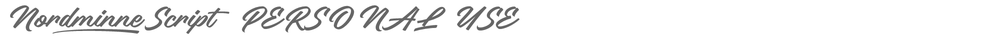 Sample characters Nordminne Script Font