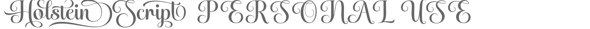 Sample characters Holstein Script Font
