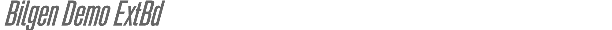 Bilgen BilgenDemo-ExtraBoldRight.otf font preview