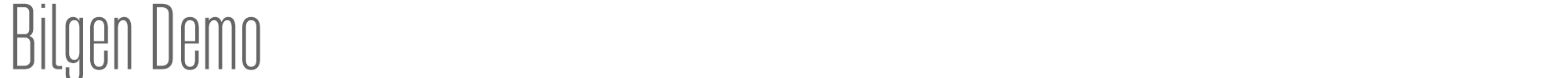 Bilgen BilgenDemo-Regular.otf font preview